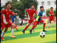 中国VS泰国直播_中国VS泰国免费高清在线直播_中国VS泰国免费直播视频直播